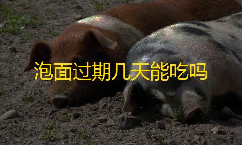 穿越火线科技直装免费教程泡面过期几天能吃吗